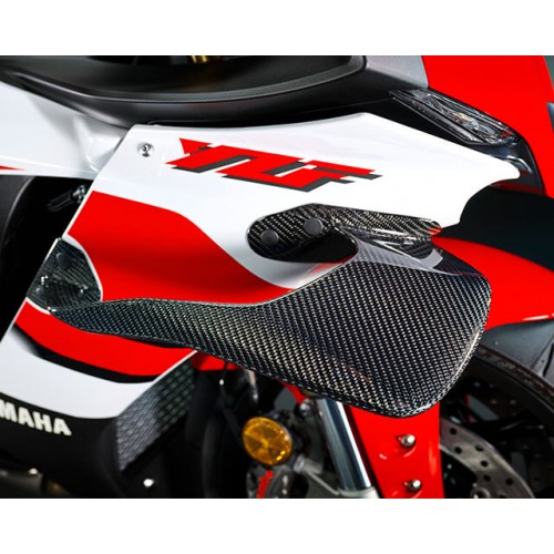 MotoGP Inspired Winglets