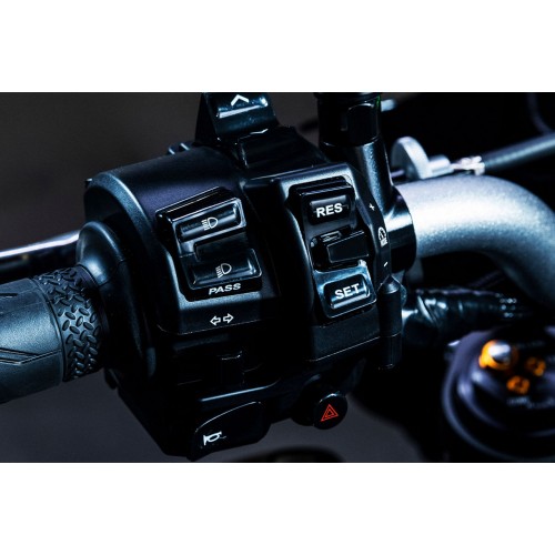 Cruise Control & Variable Speed Limiter