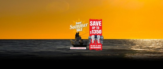 Super Summer 25-90